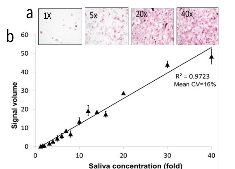 Accuracy and reliability of the saliva IHC assay - standard calibration curve over 40-fold concentration range with R-squared 0.9723 and mean CV 16 percent