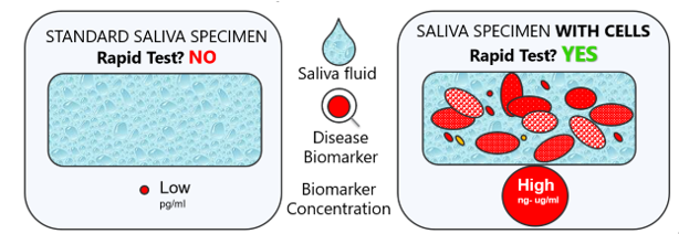 Standard saliva specimen (low biomarker concentration, no rapid test) versus saliva specimen with cells (high biomarker concentration, rapid test possible)